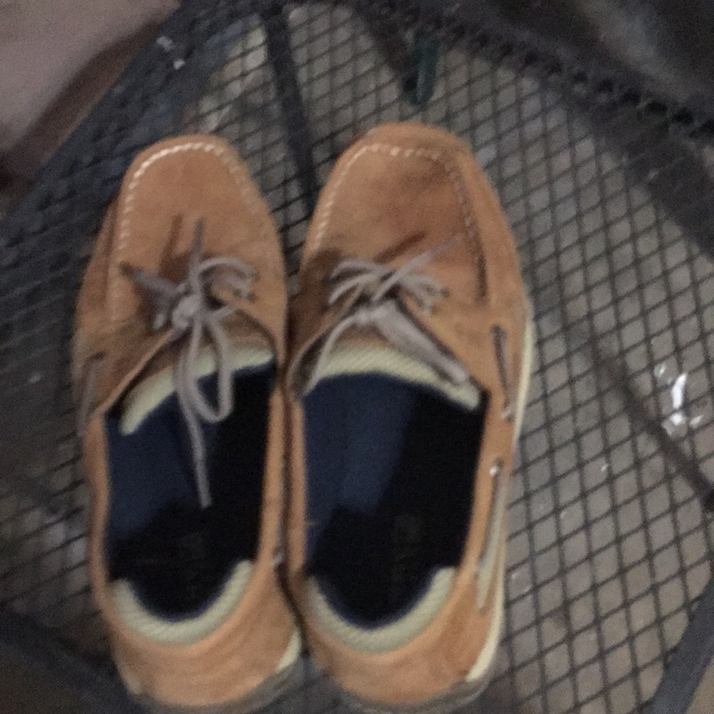 Sperry. Boat shoes